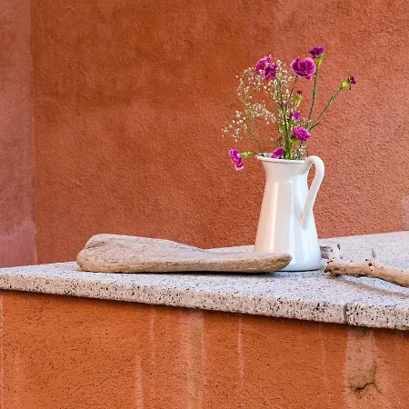 Myrsine 7s - Klodge Murta Maria