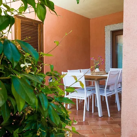 Myrsine 7s - Klodge * Murta Maria