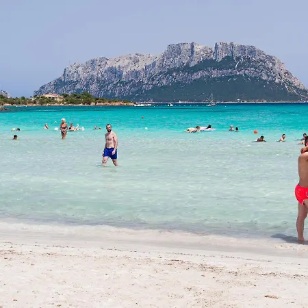 Myrsine 7s - Klodge Murta Maria