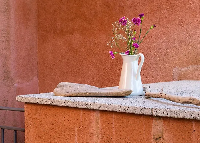 Myrsine 7s - Klodge Murta Maria