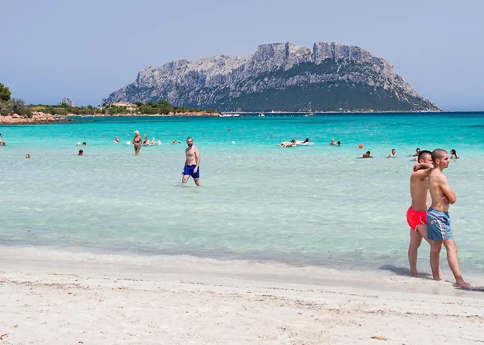 Myrsine 7s - Klodge Murta Maria