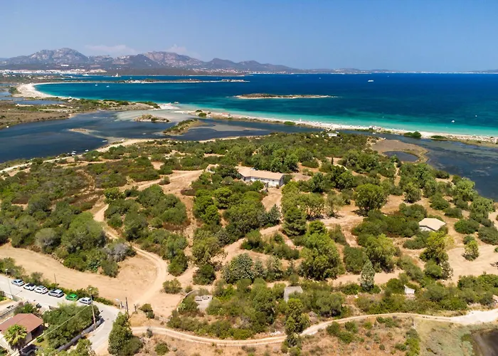 Daire Myrsine 7s - Klodge *